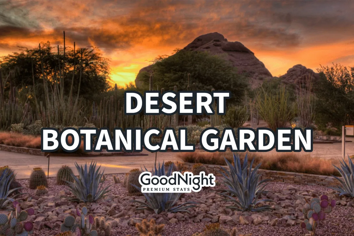 A picturesque desert landscape at sunset, featuring cacti, desert plants, and rocky formations under a glowing sky. The mood is tranquil and natural, underscoring Scottsdale’s unique outdoor appeal.
