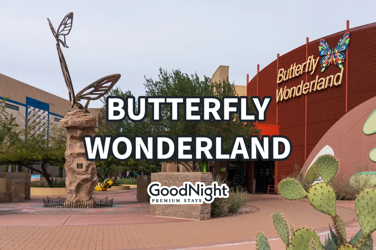 An exterior shot featuring a whimsical, oversized butterfly sculpture, Butterfly Wonderland signage, and cacti in the foreground, creating a playful and creative vibe. The image hints at unique local attractions and a family-friendly atmosphere.